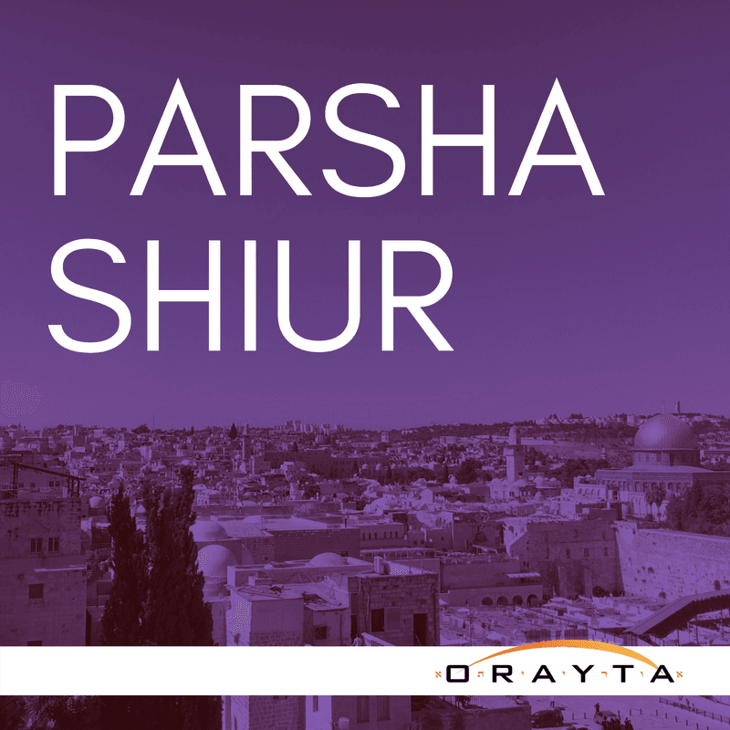 Parsha Shiur artwork